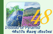 Instead of Pyramid: 4คืน5วัน ทีลอซู เชียงใหม่