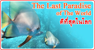 The Last Paradise of the world Rajaampat