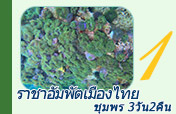 ราชาอัมพัตเมืองไทย ชุมพร3วัน2คืน