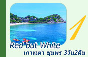 Red but White: เกาะเต่า