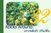 Rocks Around: เกาะหลีเป๊ะ 3วัน2คืน