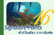 Signature Points ราจาอัมพัต