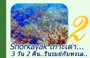 Snorkayak  เกาะเต่า...3วัน2คืน