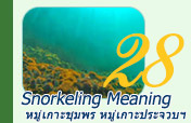 Snorkeling Meaning หมู่เกาะชุมพร หมู่เกาะประจวบ