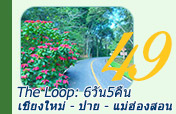 The Loop: เชียงใหม่ - ปาย - แม่ฮ่องสอน 6วัน5คืน