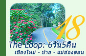 The Loop: เชียงใหม่ - ปาย - แม่ฮ่องสอน 6วัน5คืน