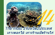 The Most 2จังหวัด2ประเทศ เกาะดอกไม้ เกาะร้านเป็ดร้านไก่