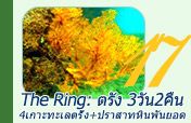 The Ring: ตรัง 3วัน2คืน