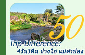 Trip Difference: 4 วัน 3 คืน ปางไฮ แม่คำปอง