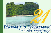 Discovery to Undiscovered