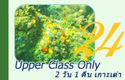 Upper Class Only 2วัน1คืน เกาะเต่า