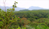 Lake, Sea, River and Mountain