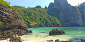 Nui Bay, Bamboo Island, Baby Sharks