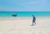 Nui Bay, Bamboo Island, Baby Sharks