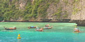 Nui Bay, Bamboo Island, Baby Sharks