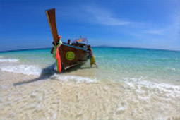 Nui Bay, Bamboo Island, Baby Sharks