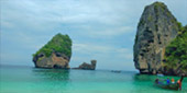 Nui Bay, Bamboo Island, Baby Sharks