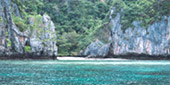 Nui Bay, Bamboo Island, Baby Sharks