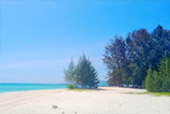 Nui Bay, Bamboo Island, Baby Sharks