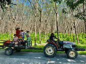 ทัวร์วันเดียว เกาะพยาม Unlimited Nature Discovery