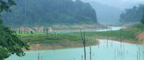 Feel Best: สุดเขตเขื่อนริมป่า ต้นน้ำ