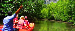 พายเรือแคนนูอ่าวท่าเลน ทัวร์กระบี่