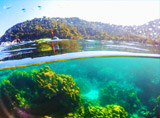 PP Bamboo Island by Speed Boat