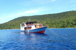 Nomad Cruise: ราจาอัมพัต 7วัน6คืน