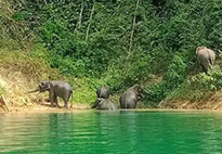 A Long Lake Discovery: ไกลสุดขอบเขื่อน... ในวันเดียว