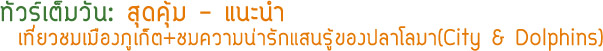 เที่ยวรอบเมืองภูเก็ตปลาโลมาโชว์ City and Dolphins เที่ยวรอบเมืองภูเก็ตปลาโลมาโชว์ City and Dolphins