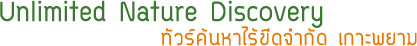 ทัวร์วันเดียวเกาะพยามUnlimited Nature Discovery